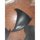 CARENA R1