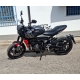 TRIUMPH TRIDENT 660